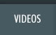 Video Section